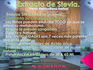 Extracto de Stevia Rebaudiana Bertoni